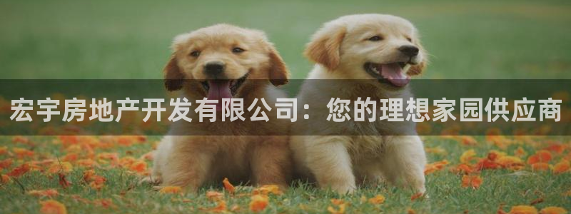 万向娱乐官网