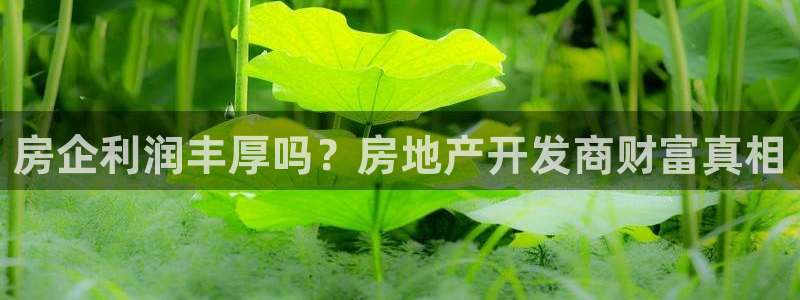 万向娱乐怎么样