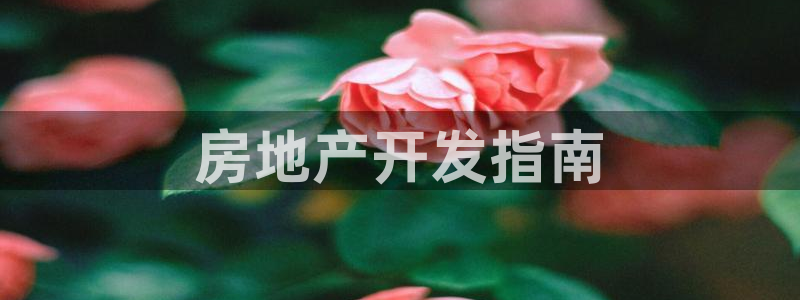 万向娱乐平台代理怎么样