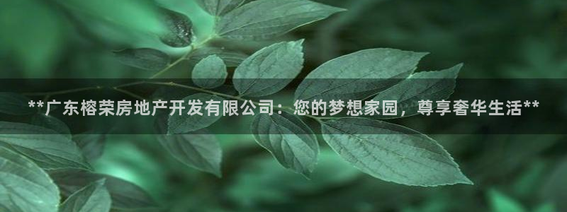 万向娱乐老板