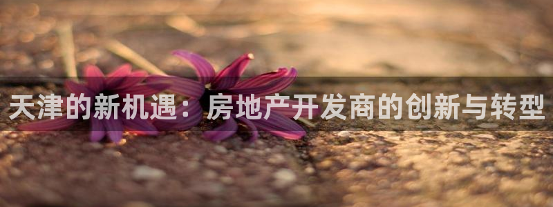 万向娱乐怎么样