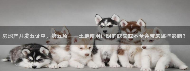 万向娱乐下载