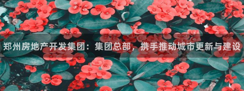万向娱乐技术分享