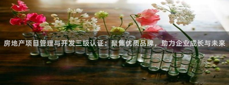 万向娱乐招商