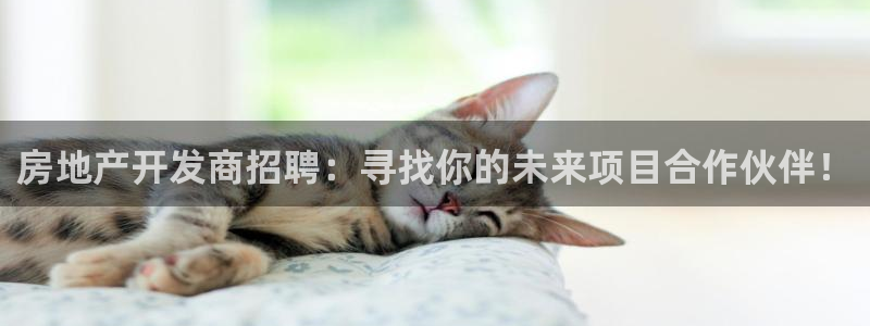 万向娱乐公司官网首页