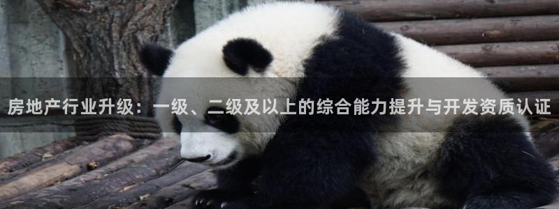 万向娱乐平台代理怎么做的