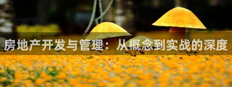 万向娱乐官网首页
