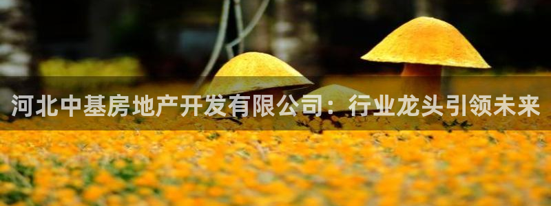 万向娱乐平台代理怎么样啊