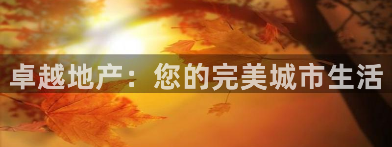 万向娱乐官网网址大全