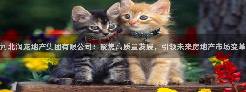 万向娱乐招商